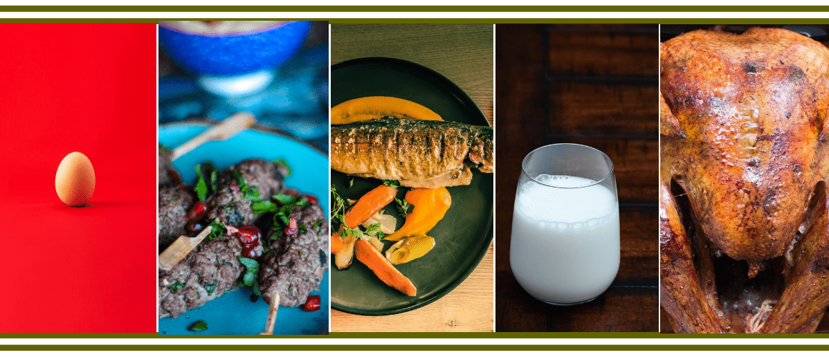 High protein image - caloriefriend